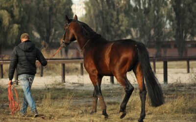 You’re the Leader – Now Lead 